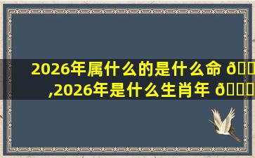 2026年属什么的是什么命 🌳 ,2026年是什么生肖年 🕊 什么命